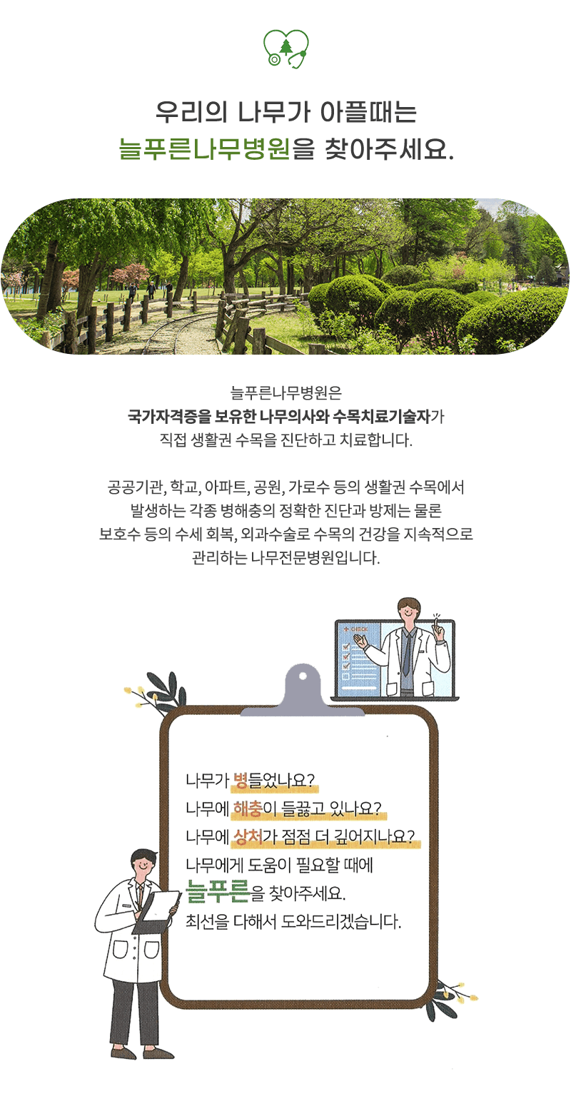 늘푸른나무병원