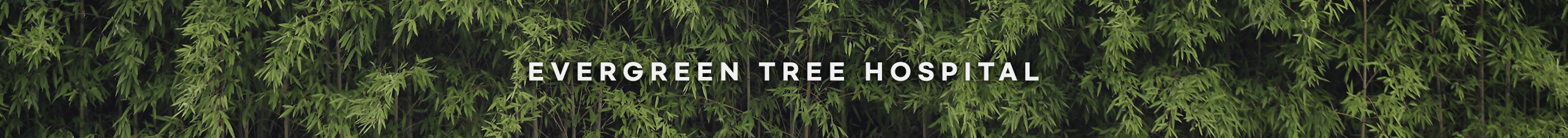 상세페이지 상단